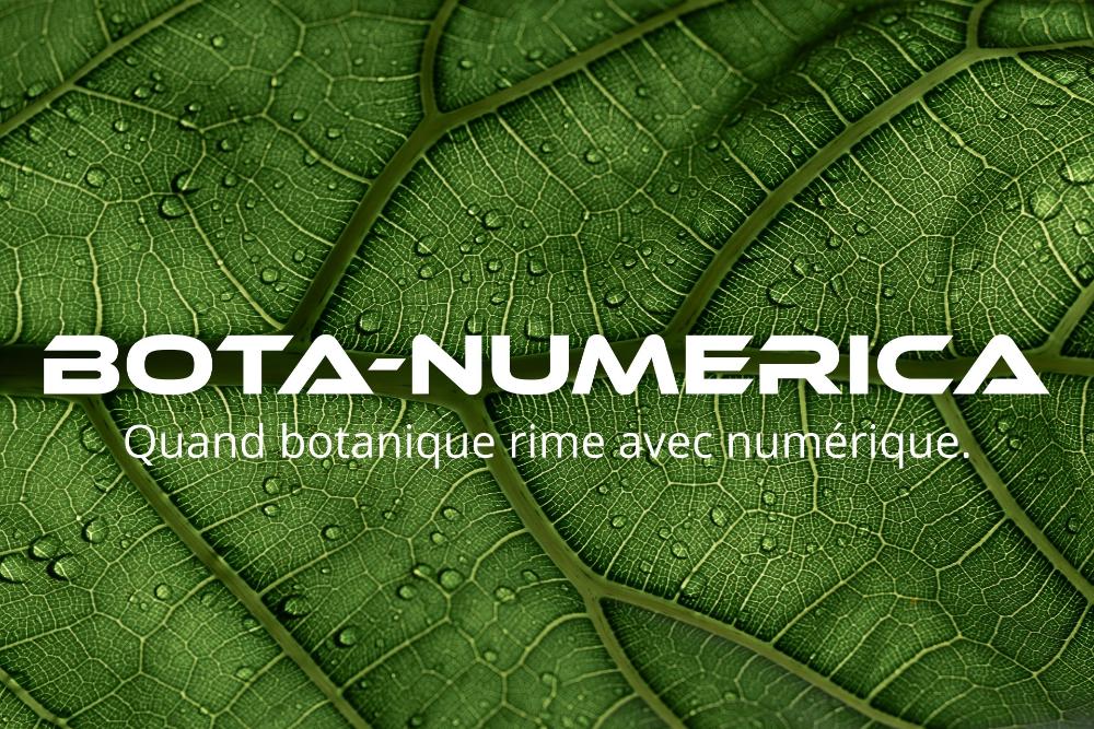 Exposition : Botanique et Numérique