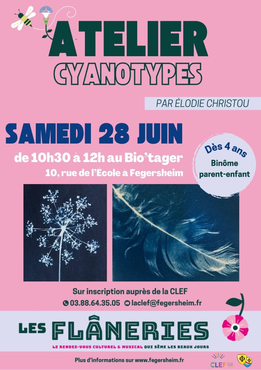 Atelier cyanotypes
